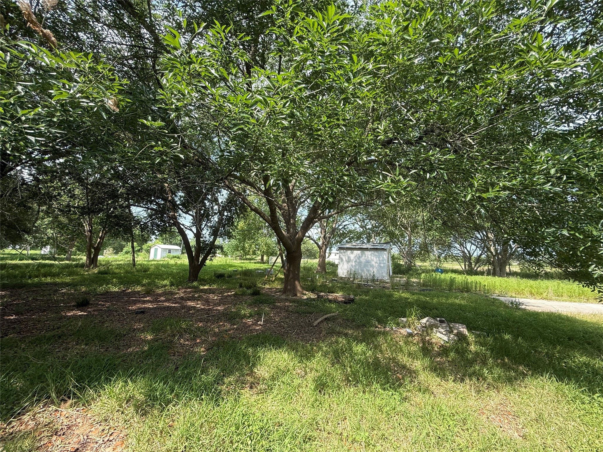 4422 County Road 888 Property Photo 9
