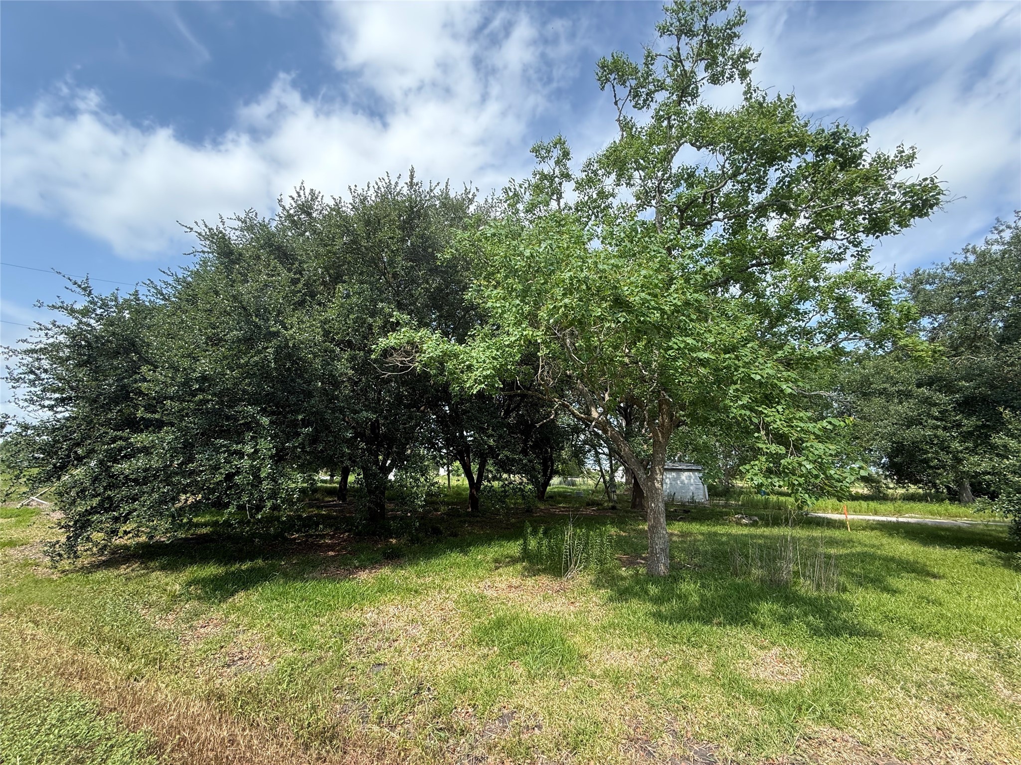 4422 County Road 888 Property Photo 10