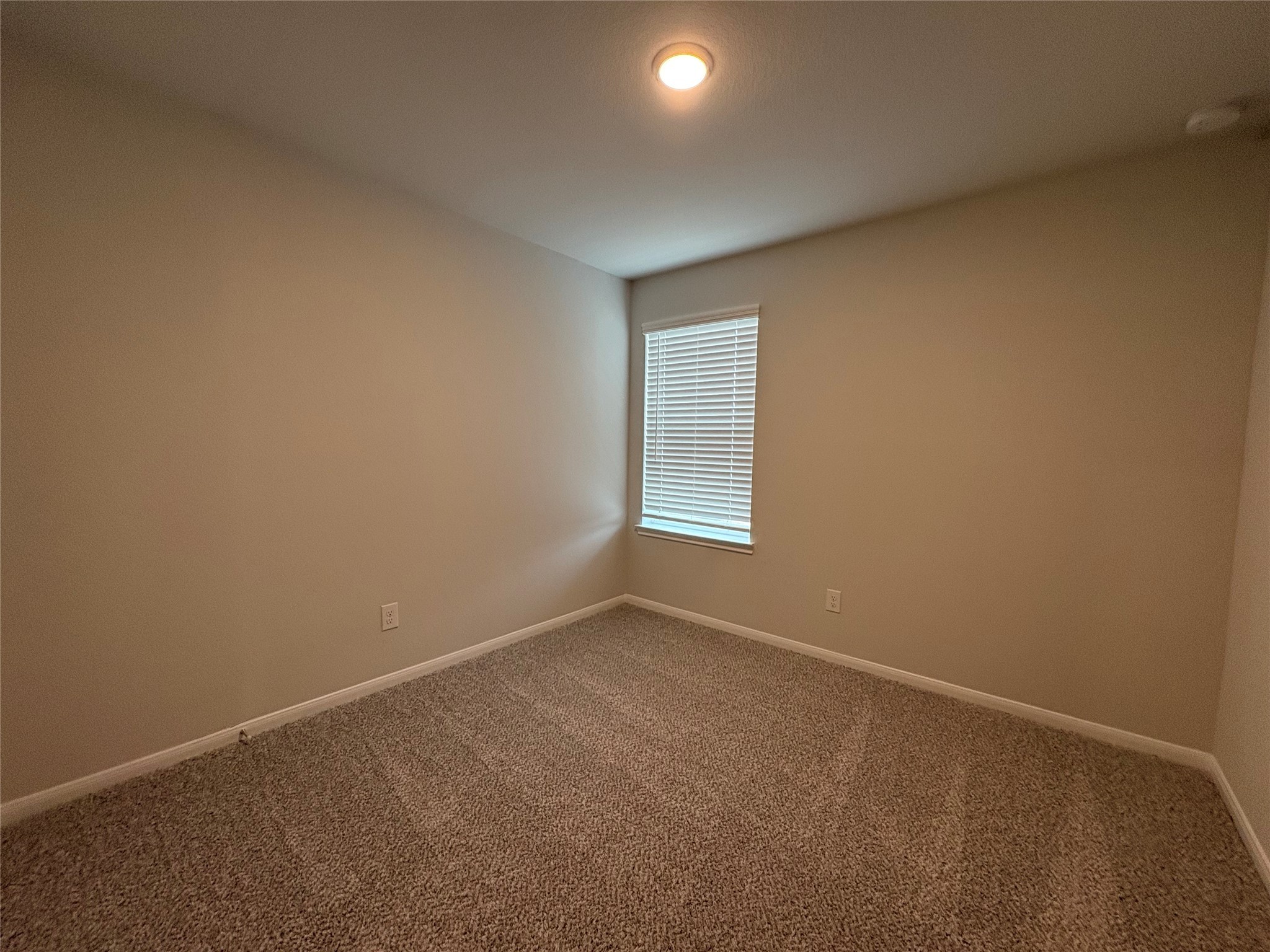 8466 Sweet Cherry Lane Property Photo 19