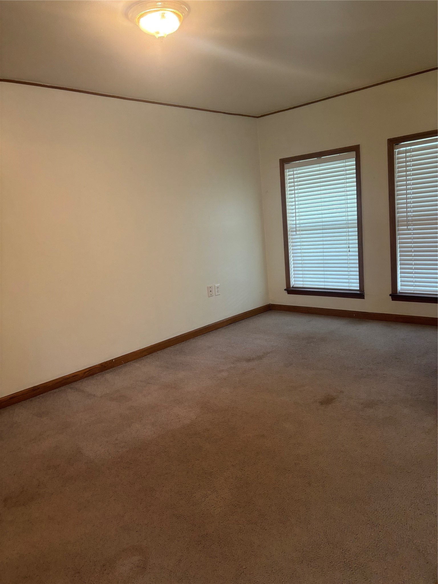 4713 Saxon Street Property Photo 10