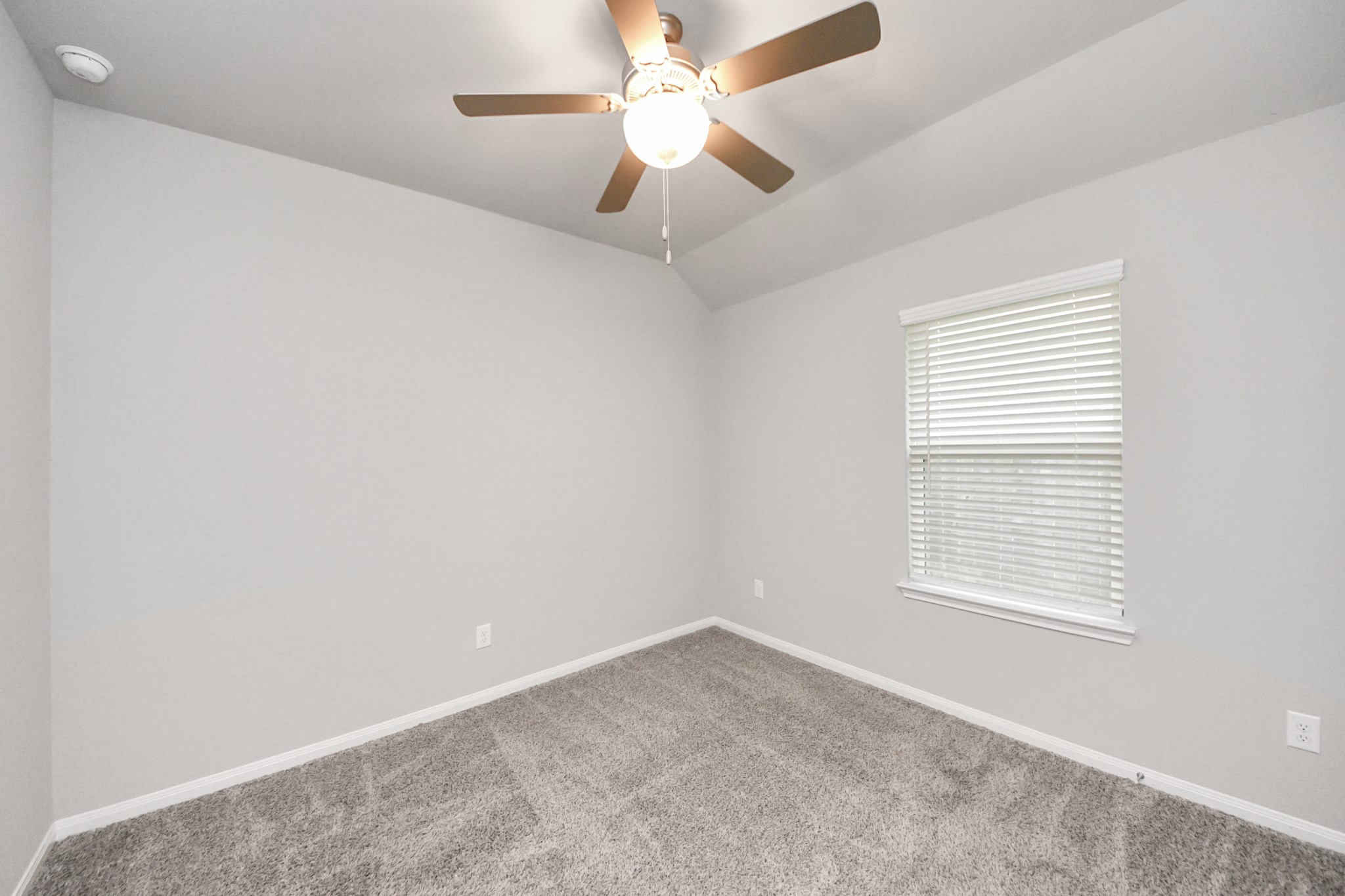 518 Ellwood Terrace Lane Property Photo 29