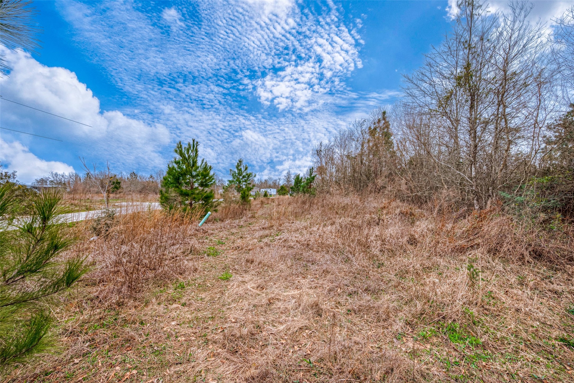 0 Road 3556 Property Photo 20