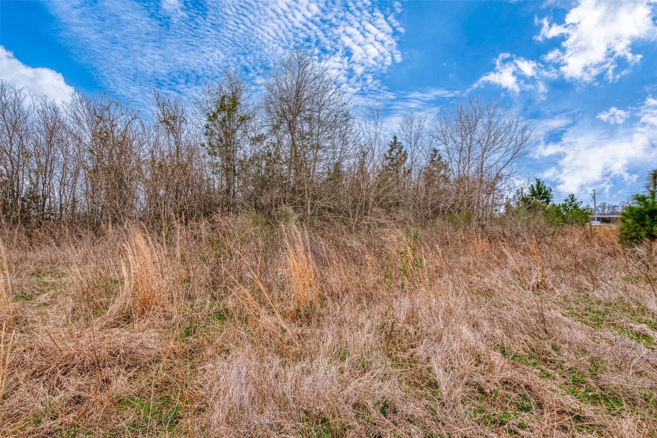 0 Road 3556 Property Photo 24