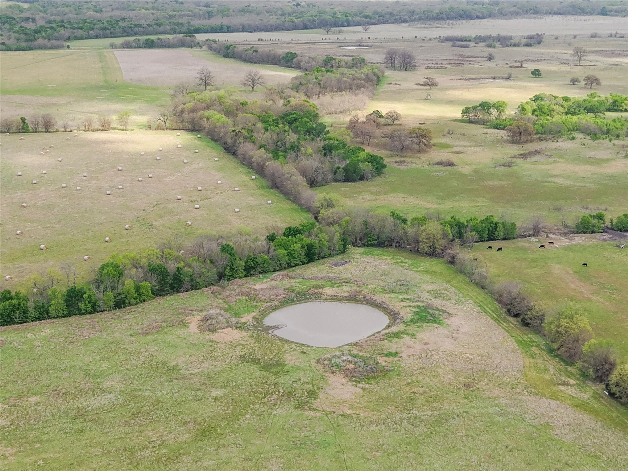 Tbd Fm 709 S Property Photo 1