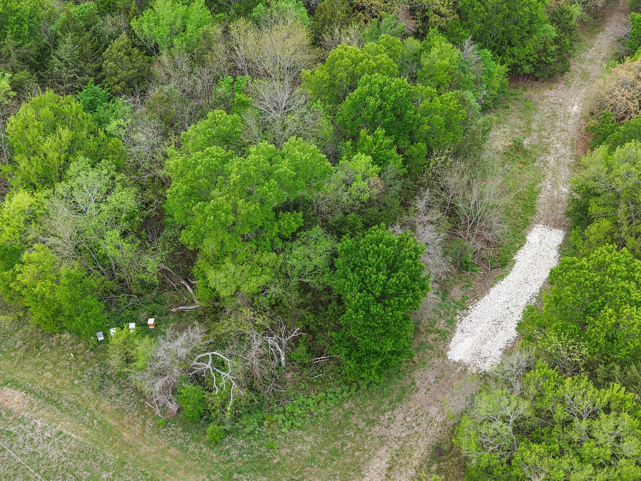 Tbd Fm 709 S Property Photo 2