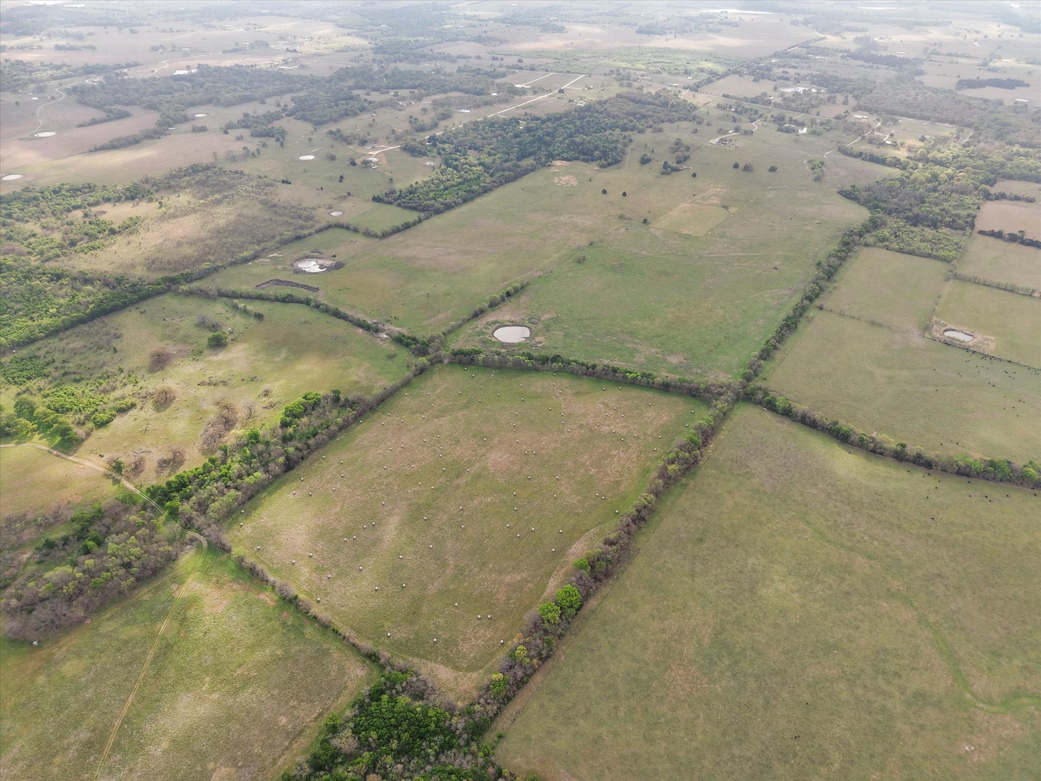 Tbd Fm 709 S Property Photo 12
