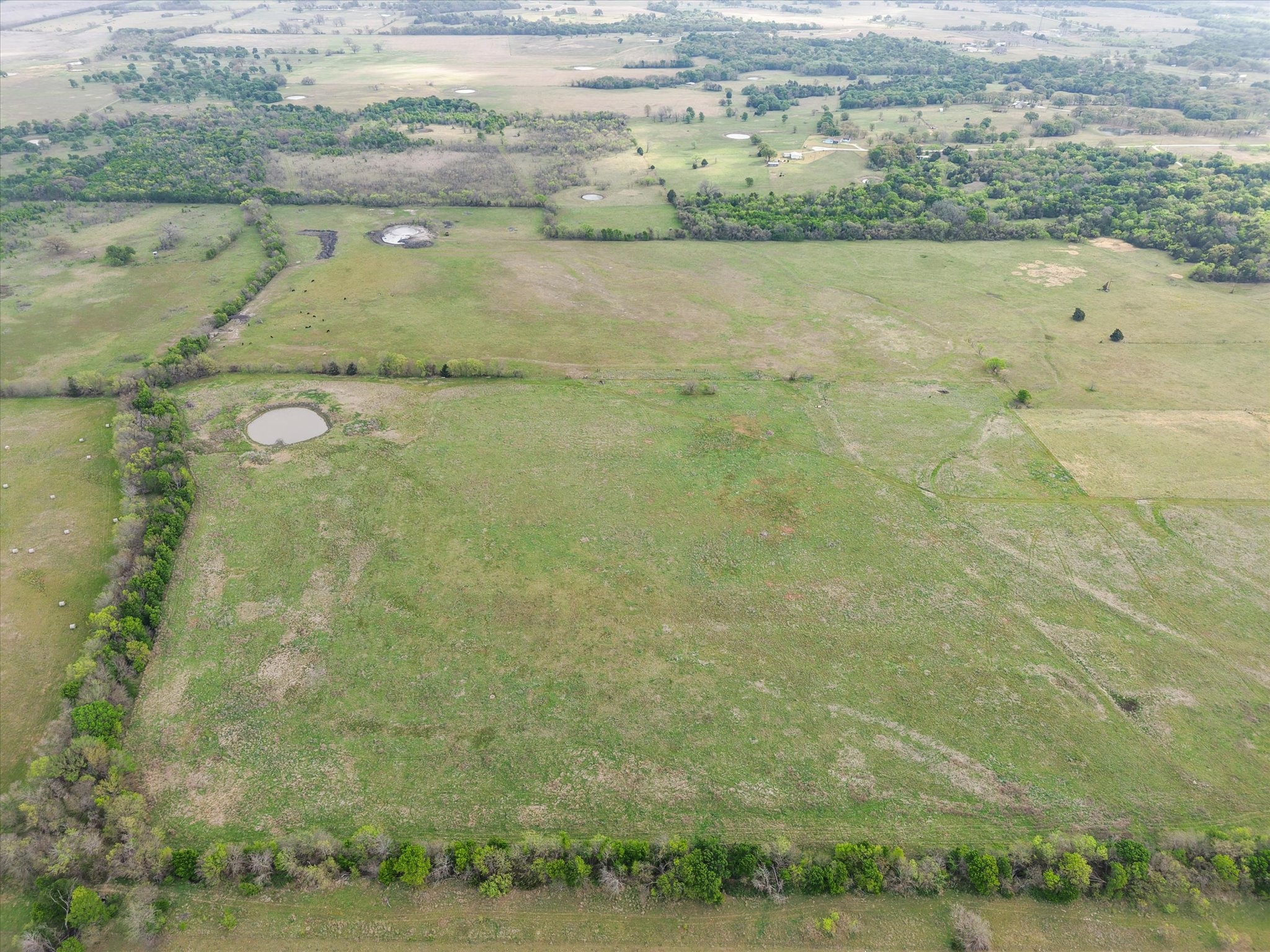 Tbd Fm 709 S Property Photo 15