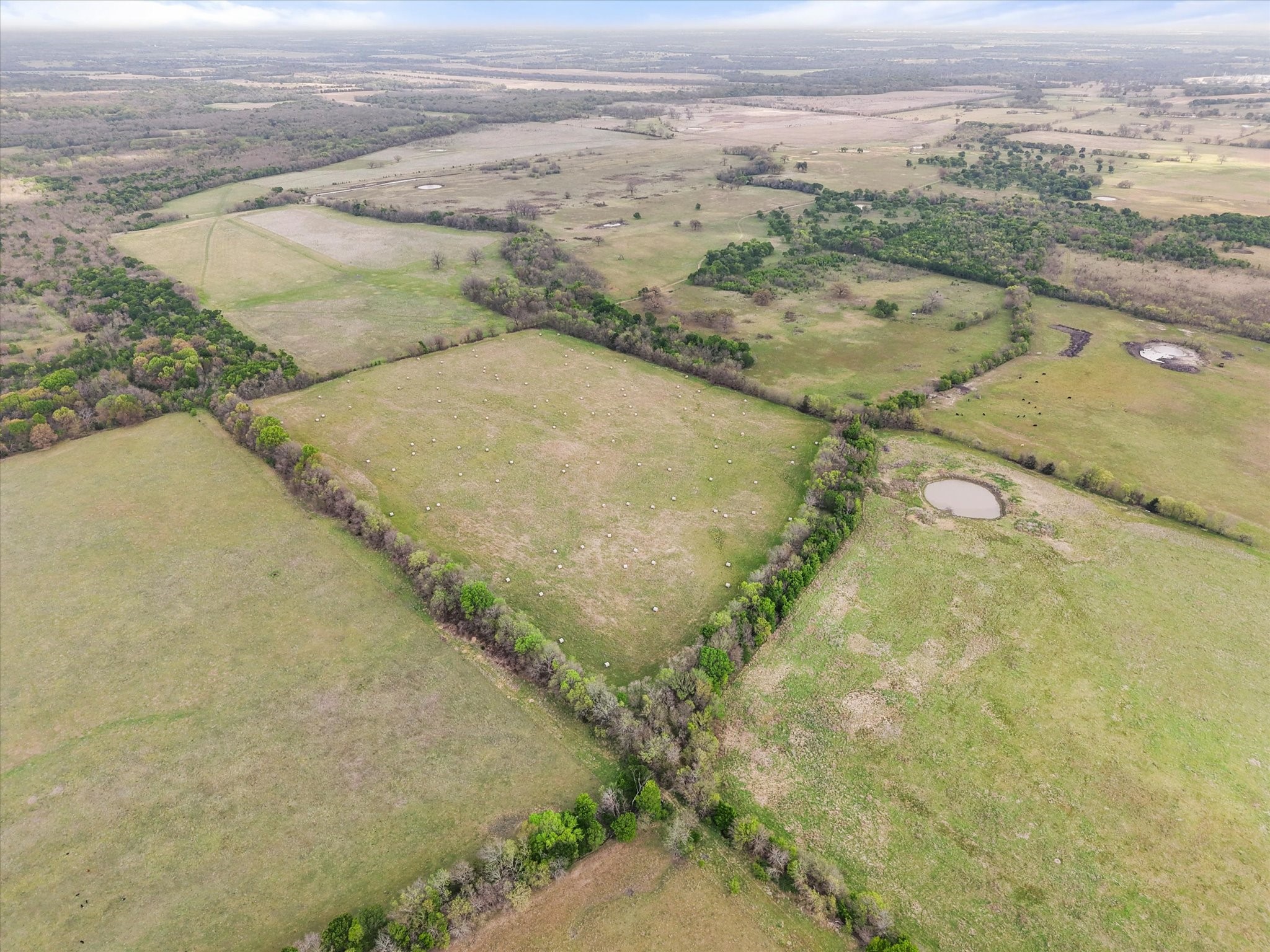 Tbd Fm 709 S Property Photo 16