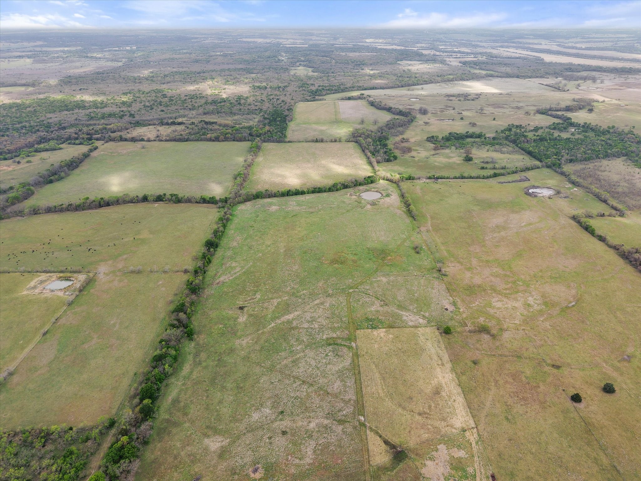 Tbd Fm 709 S Property Photo 19