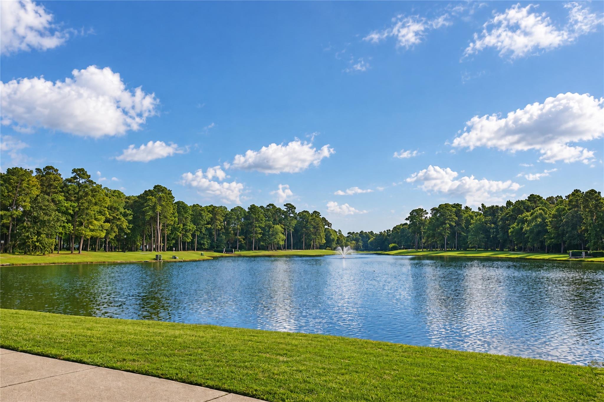 28427 Woodsons Lake Drive Property Photo 11