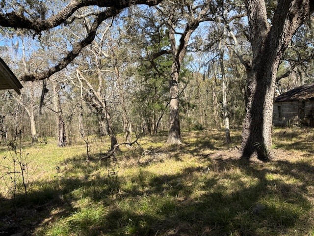 18772 Highway 35 Property Photo 9