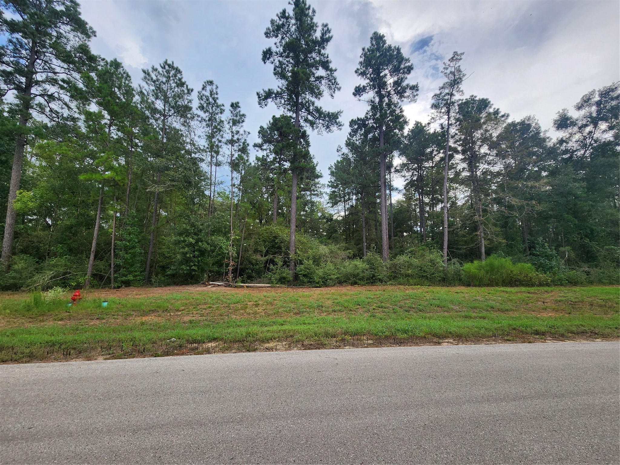15211 Forest Grove Drive Property Photo 1
