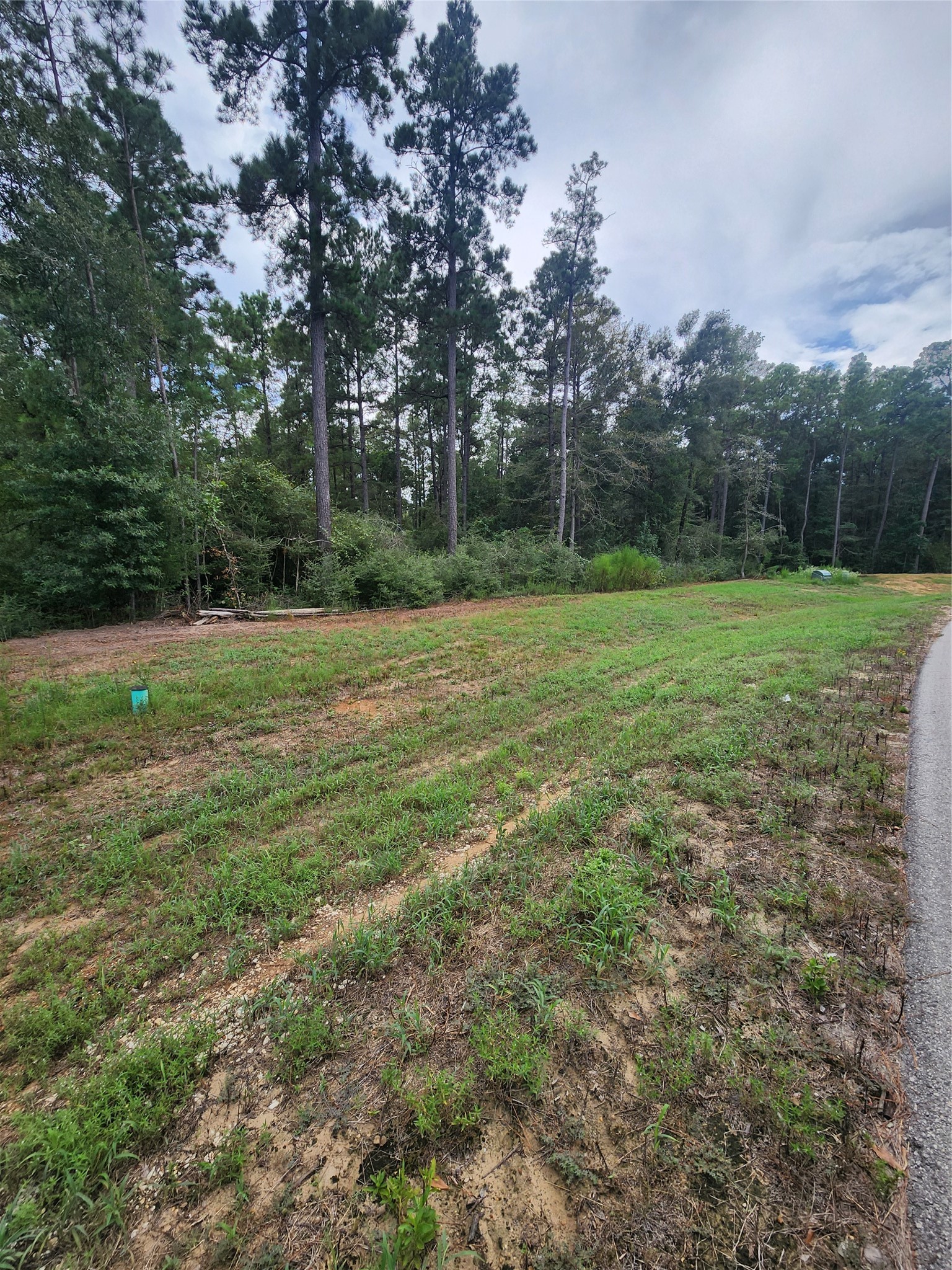 15211 Forest Grove Drive Property Photo 2