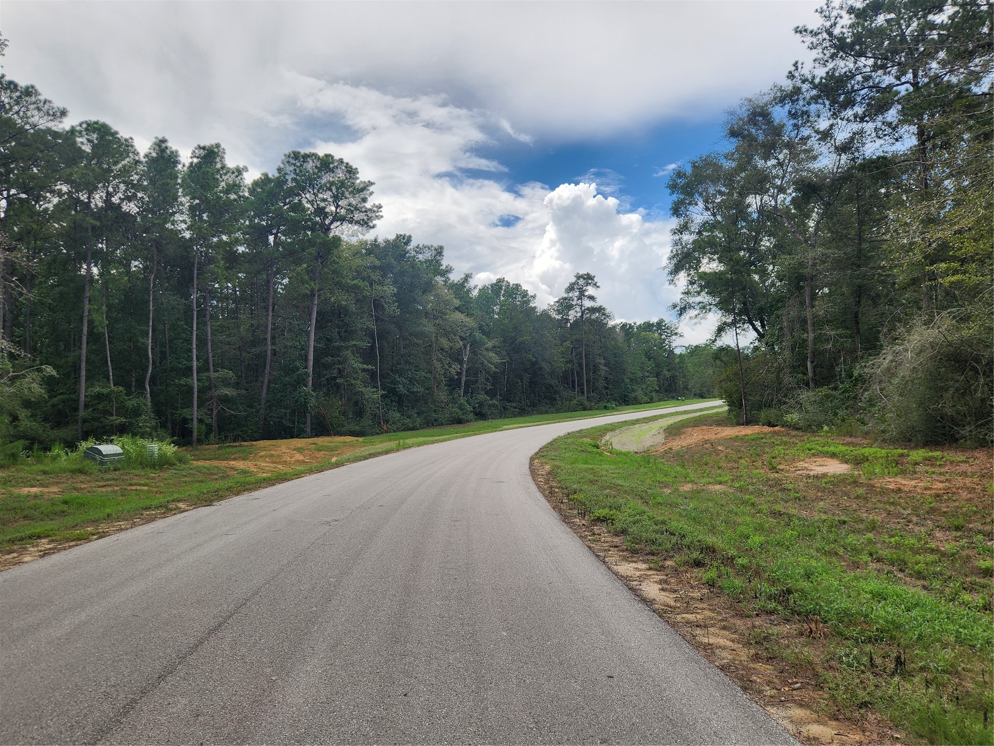 15211 Forest Grove Drive Property Photo 3