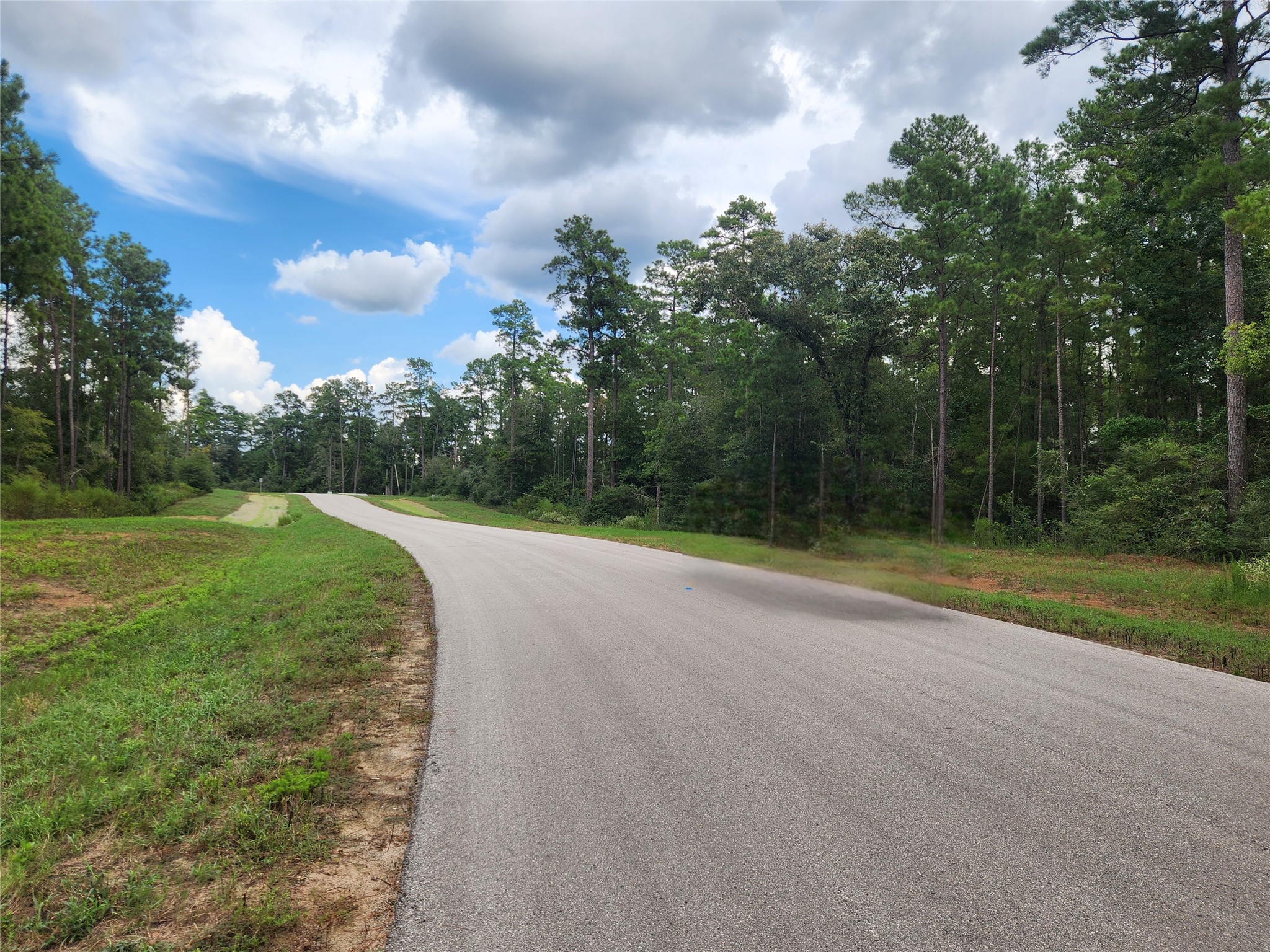 15211 Forest Grove Drive Property Photo 4