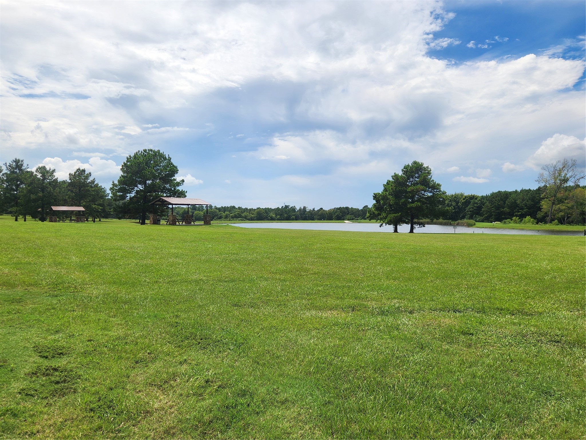 15211 Forest Grove Drive Property Photo 6