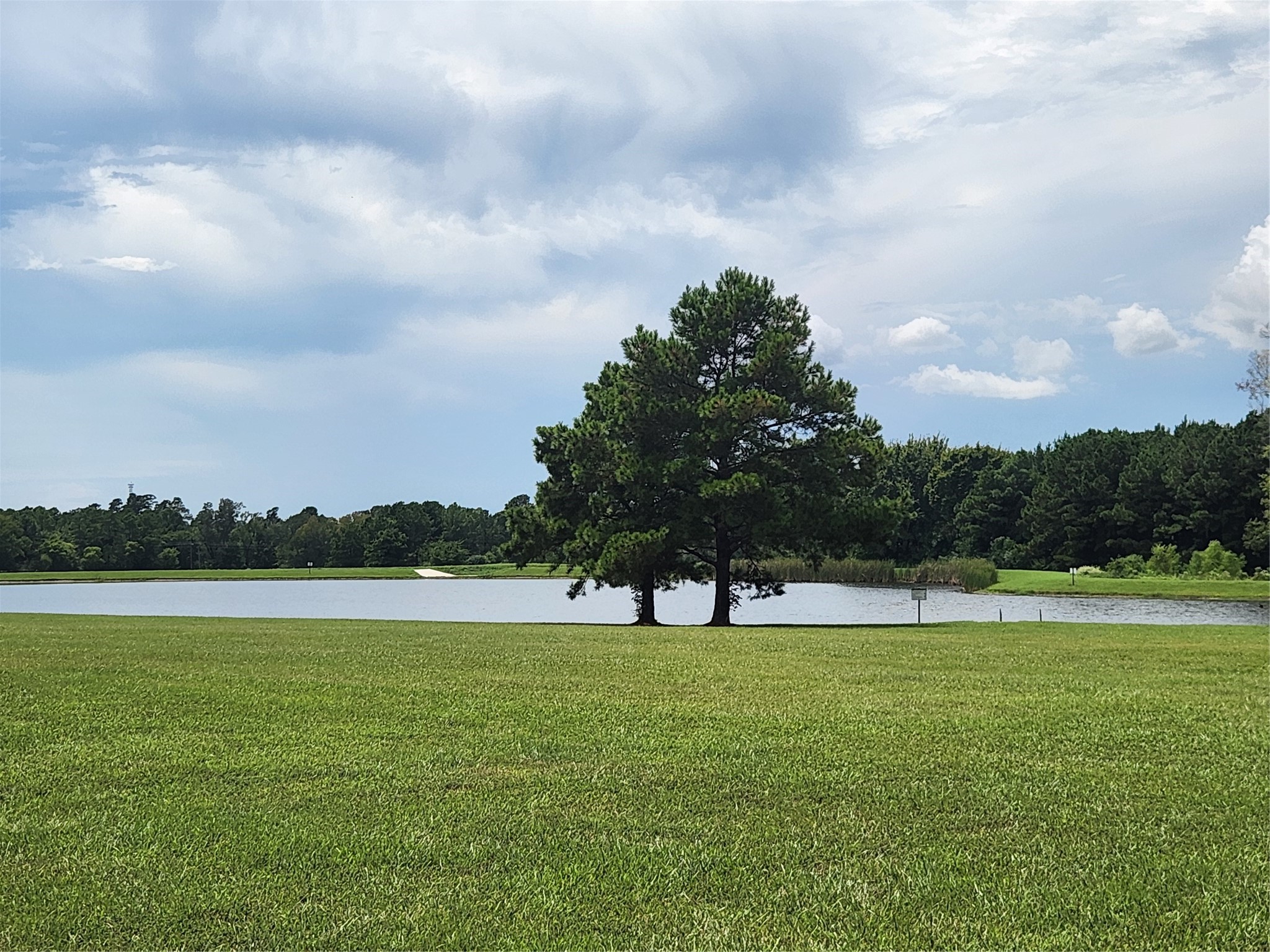 15211 Forest Grove Drive Property Photo 8