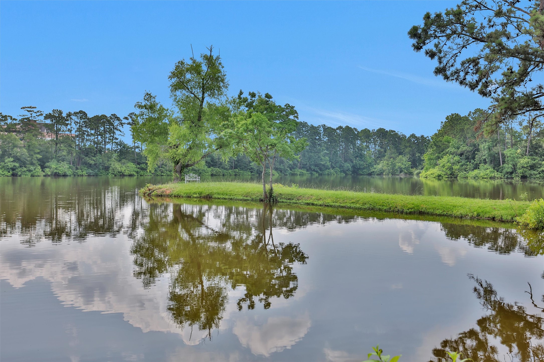 17612 White Perch Lake Drive Property Photo 18