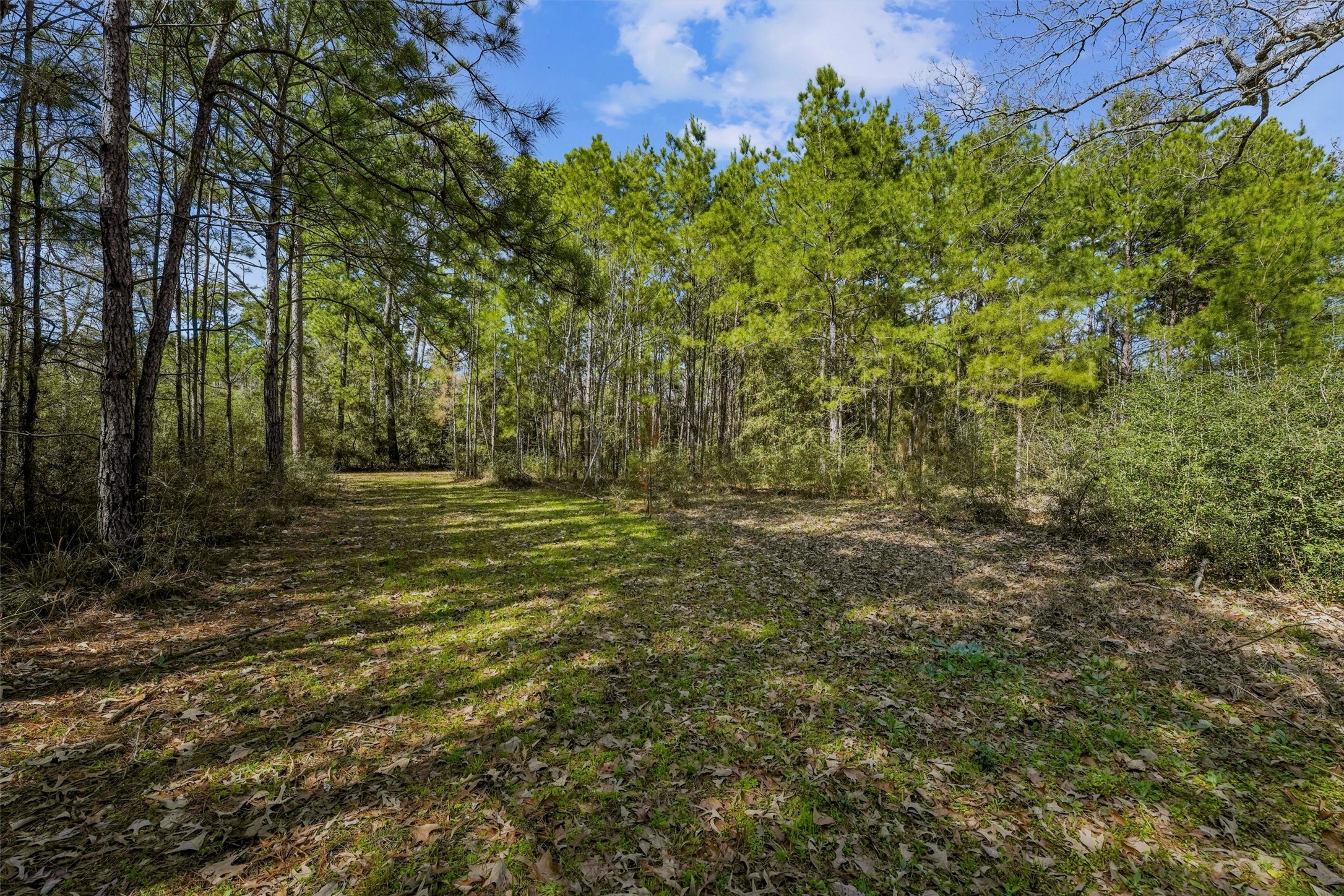15245 Shady Oaks Drive Property Photo 1