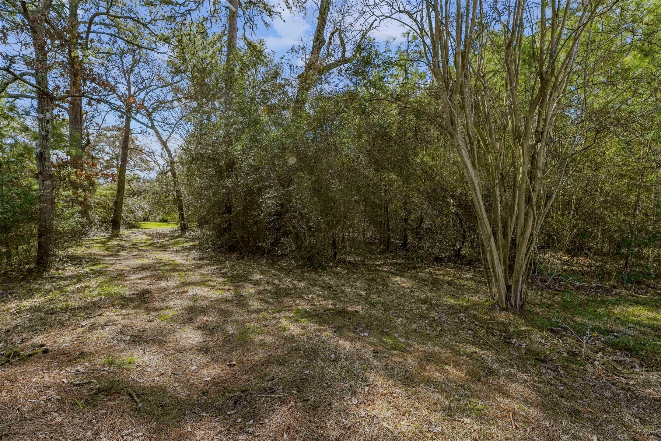 15245 Shady Oaks Drive Property Photo 12