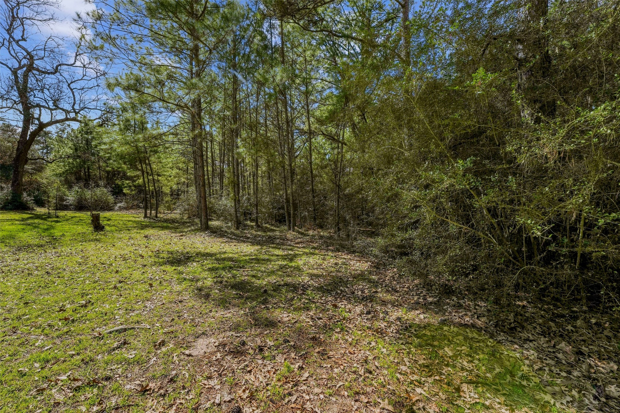 15245 Shady Oaks Drive Property Photo 13