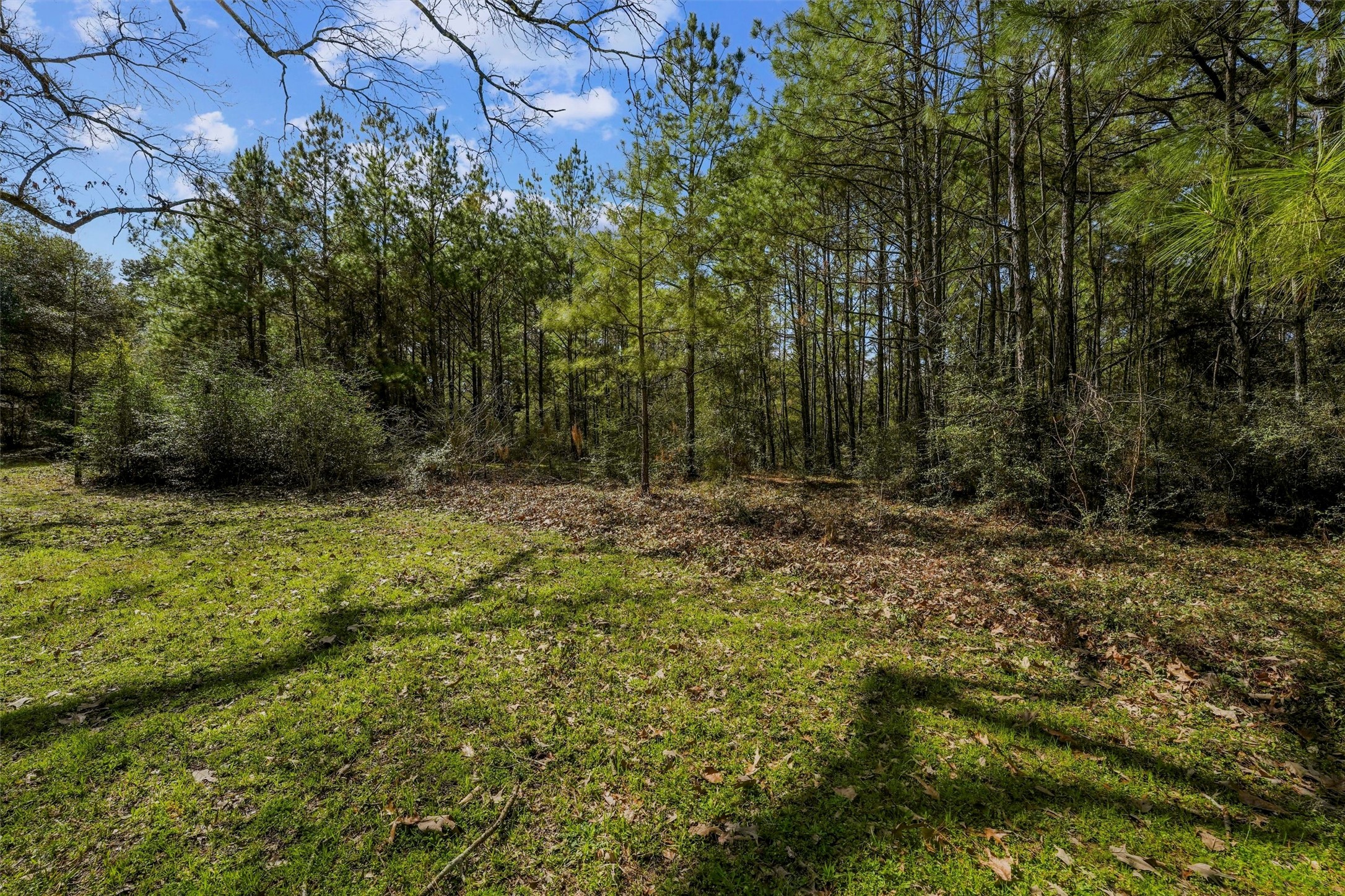 15245 Shady Oaks Drive Property Photo 14