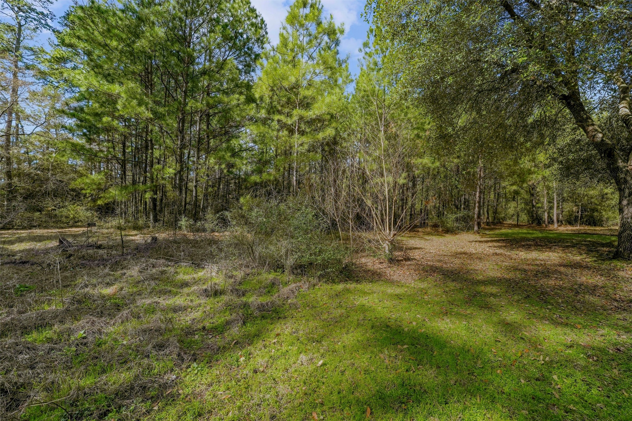 15245 Shady Oaks Drive Property Photo 15