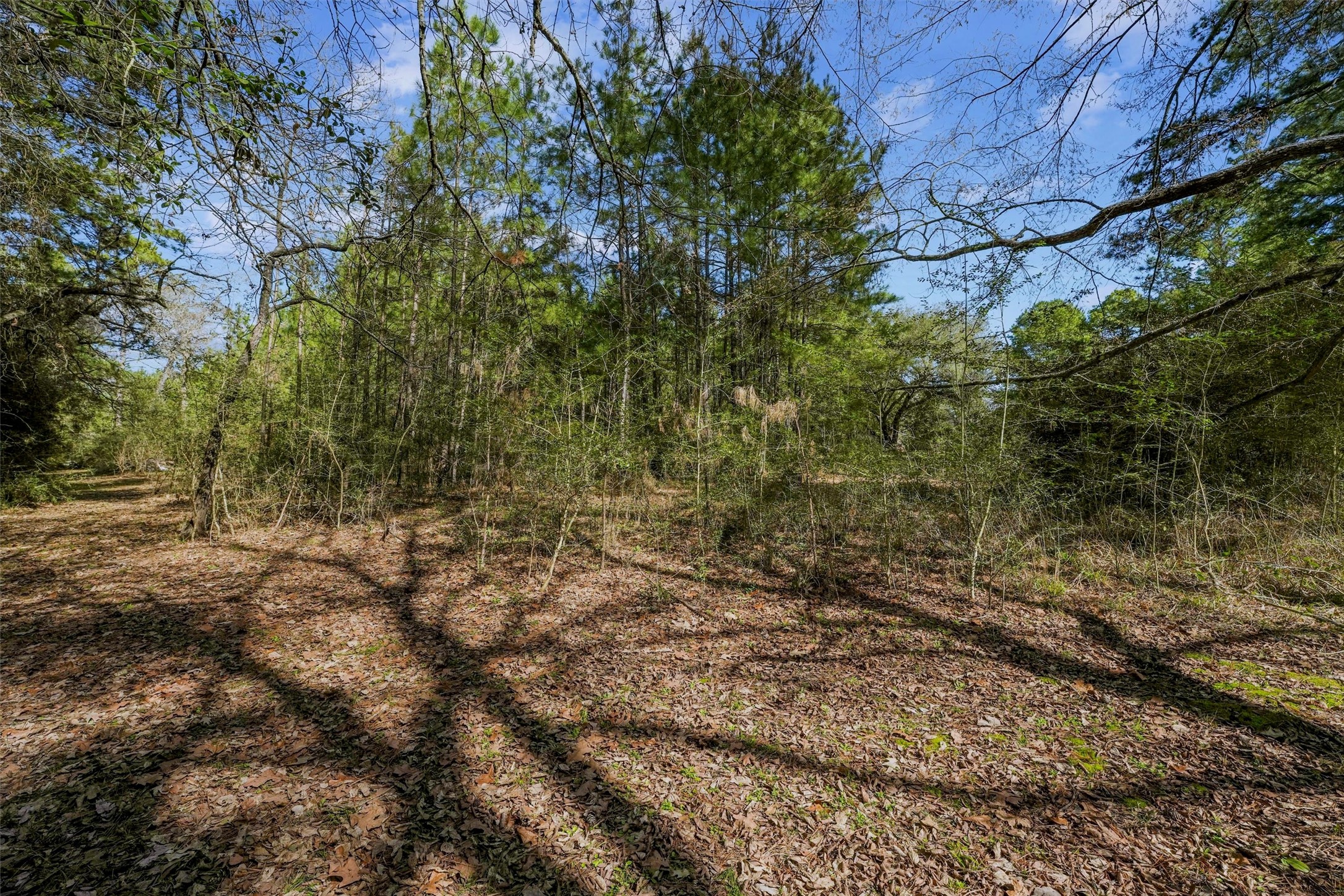 15245 Shady Oaks Drive Property Photo 16