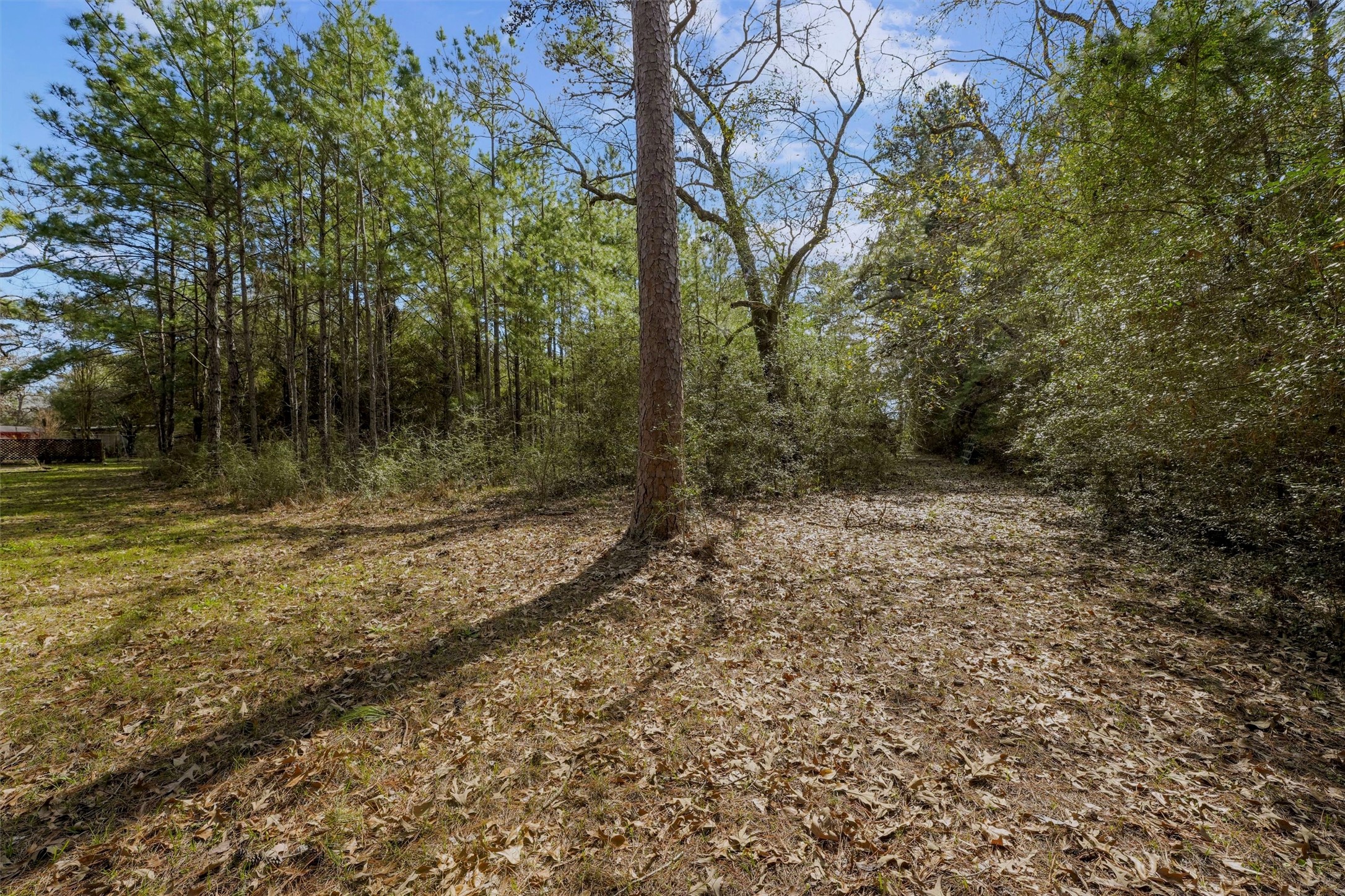 15245 Shady Oaks Drive Property Photo 17