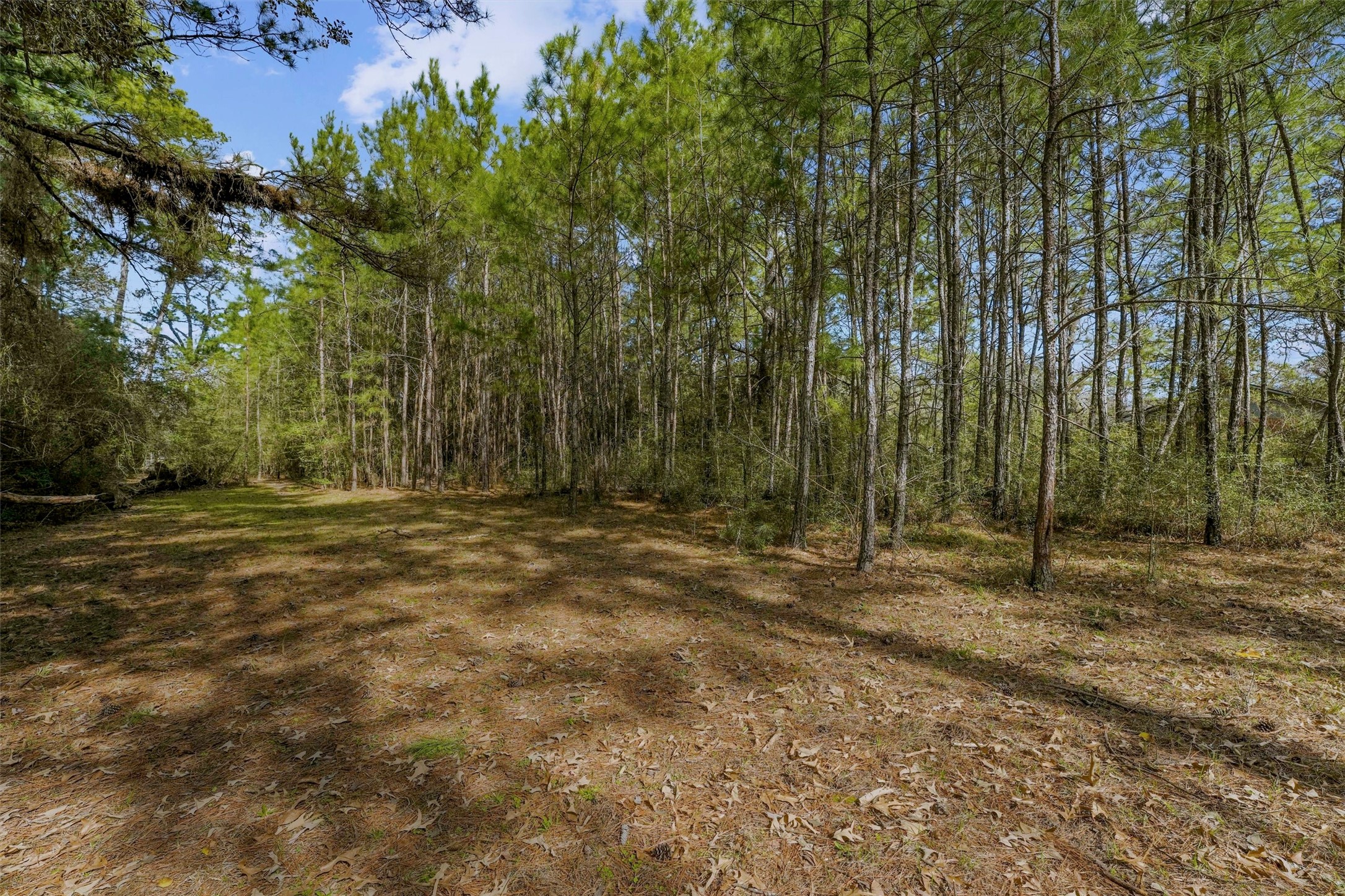 15245 Shady Oaks Drive Property Photo 18