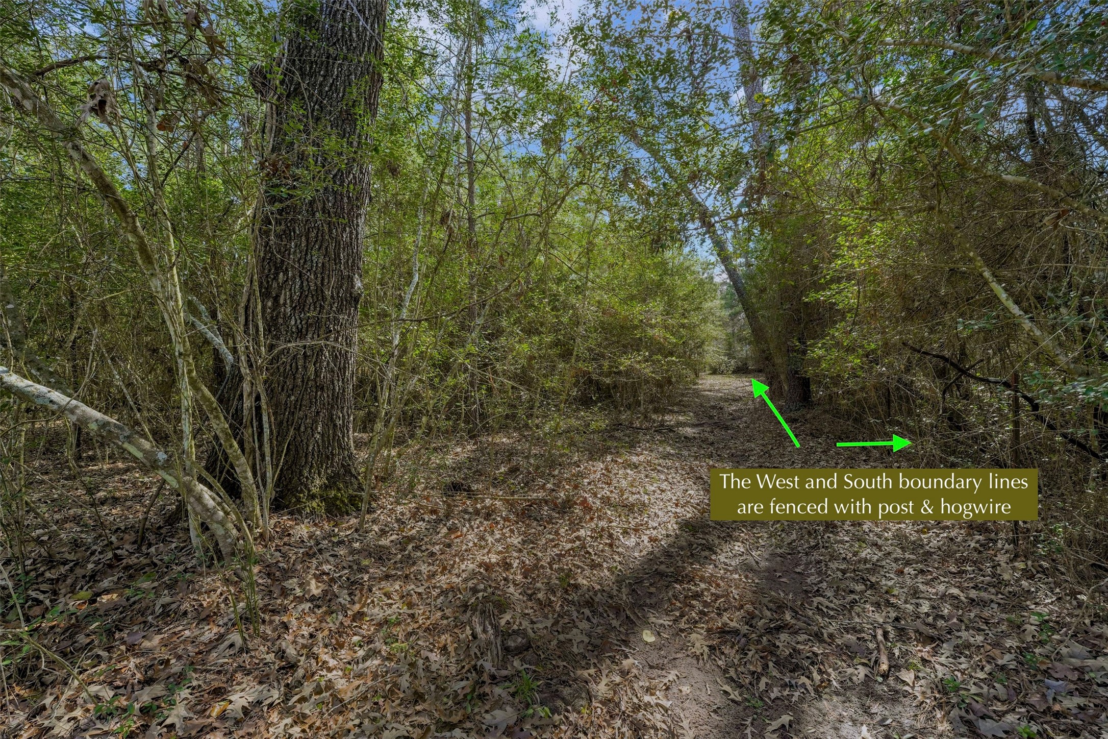 15245 Shady Oaks Drive Property Photo 19