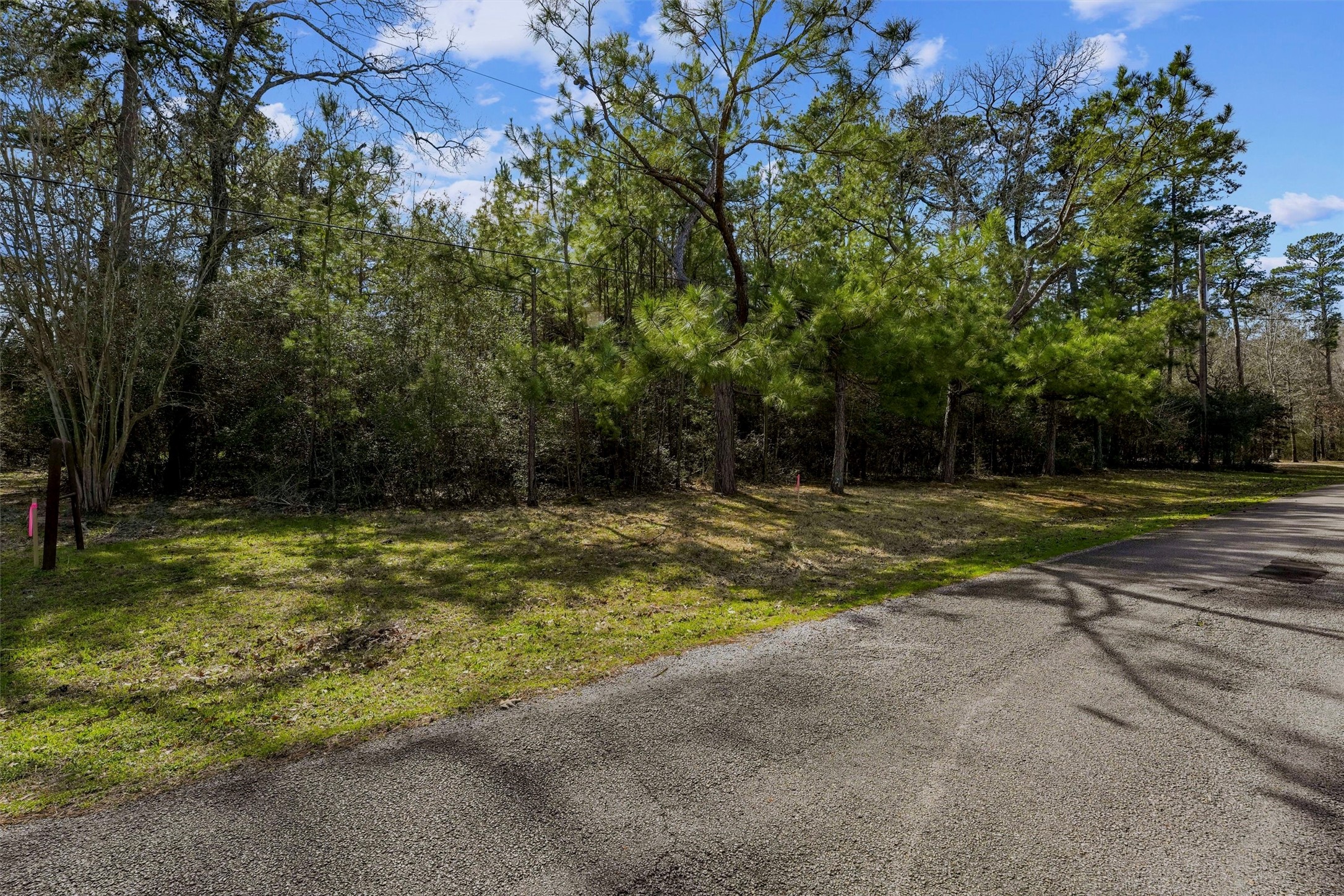 15245 Shady Oaks Drive Property Photo 20
