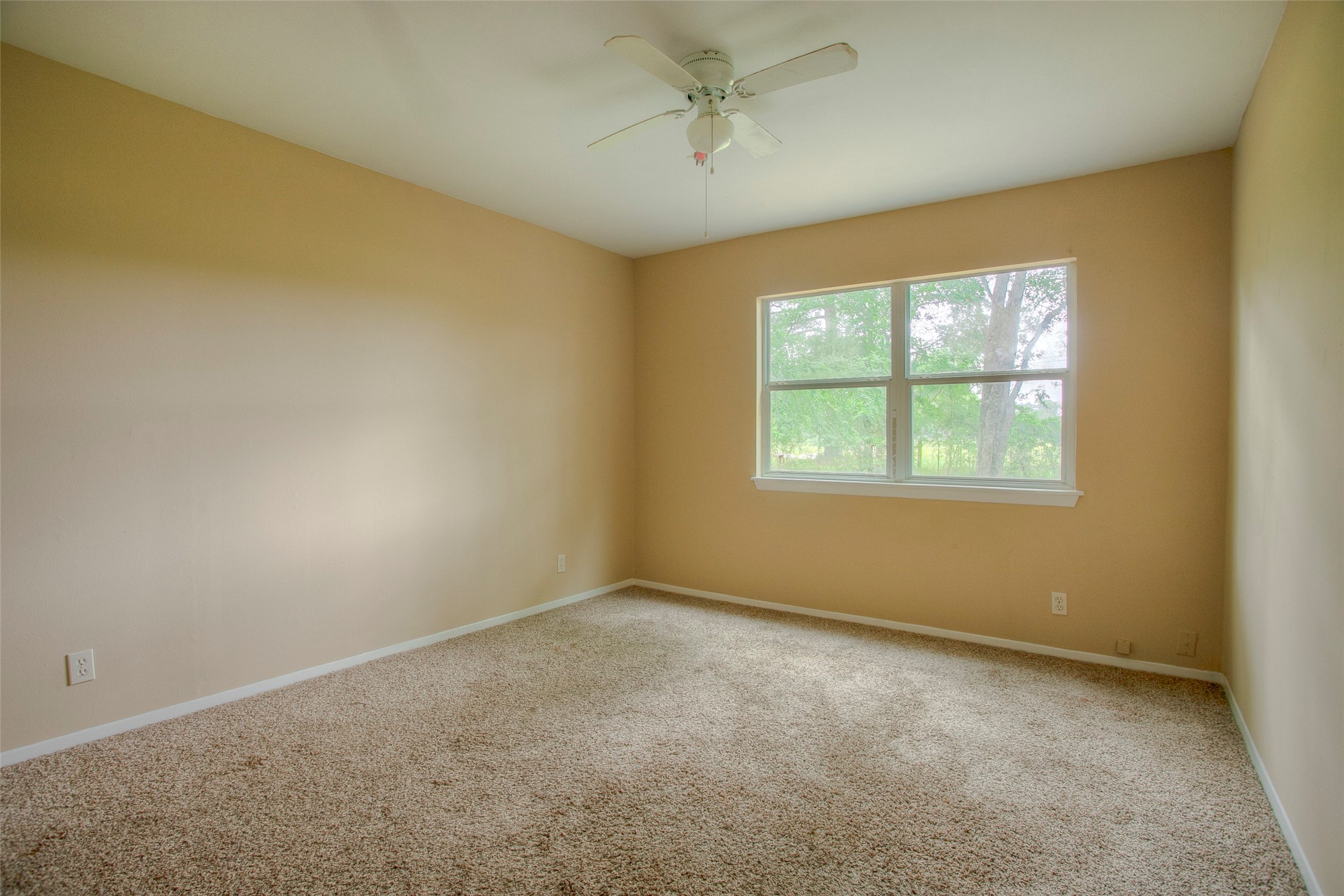 81 Westlake Road Property Photo 14