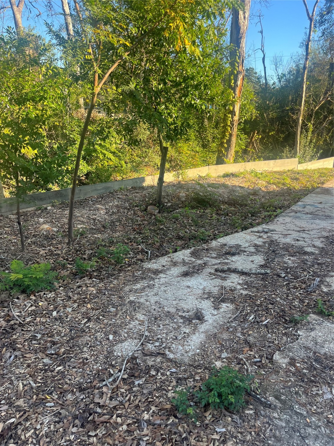 409 Wagers Street Property Photo 5