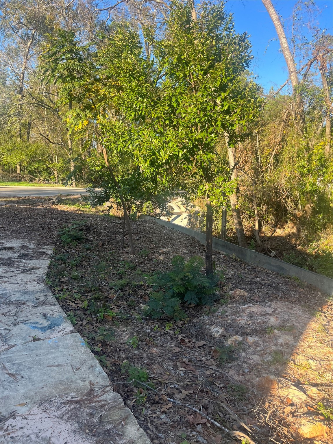 409 Wagers Street Property Photo 11