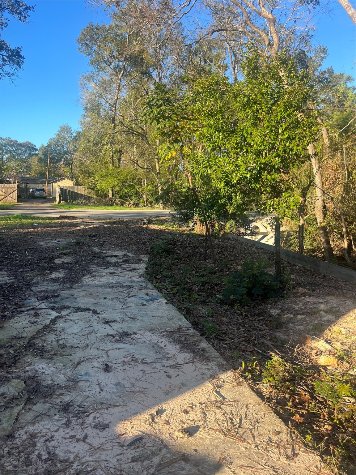 409 Wagers Street Property Photo 12