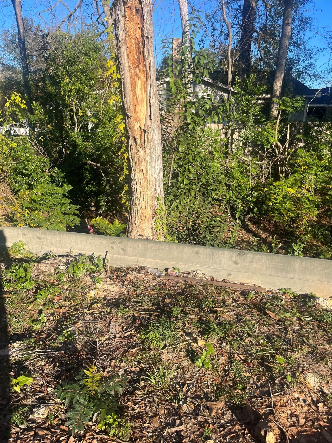 409 Wagers Street Property Photo 13