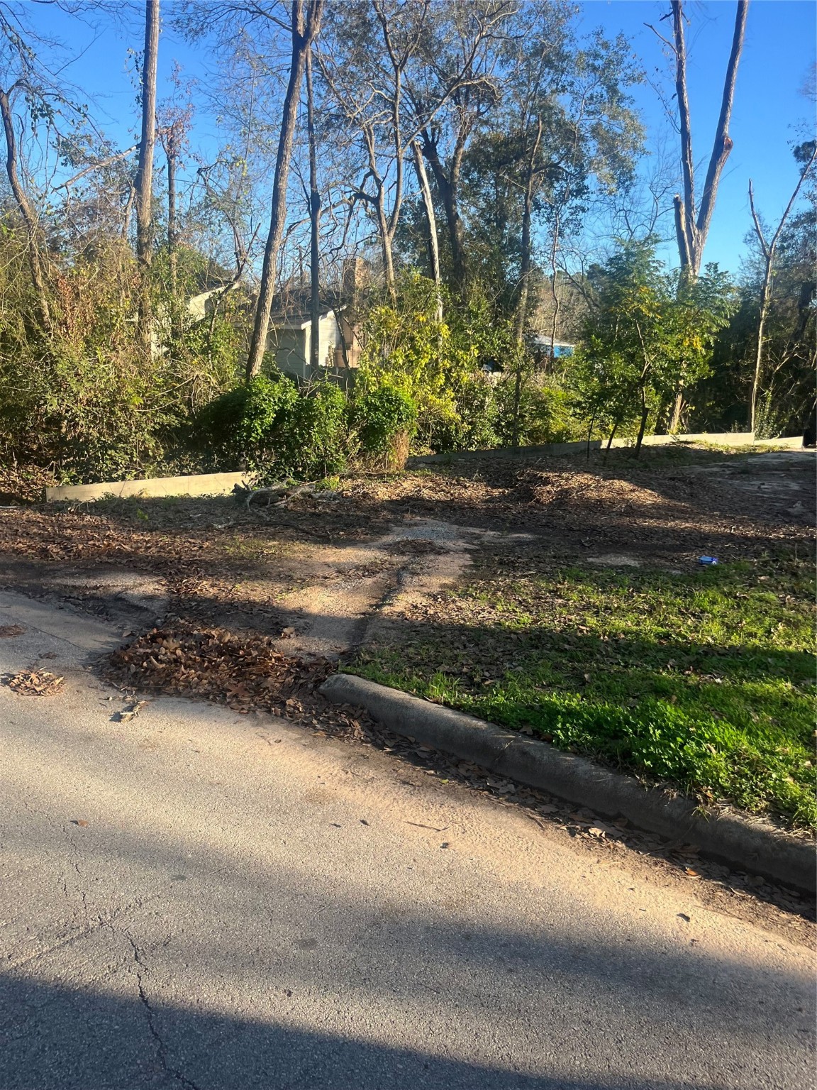 409 Wagers Street Property Photo 19