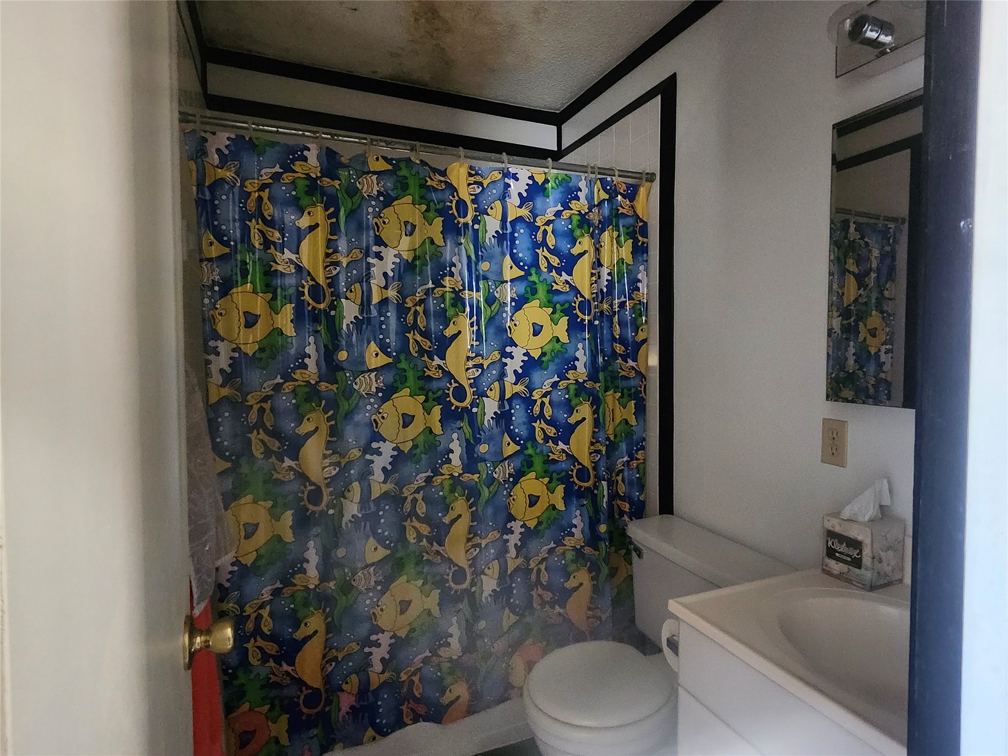 1218 Middle Property Photo 14