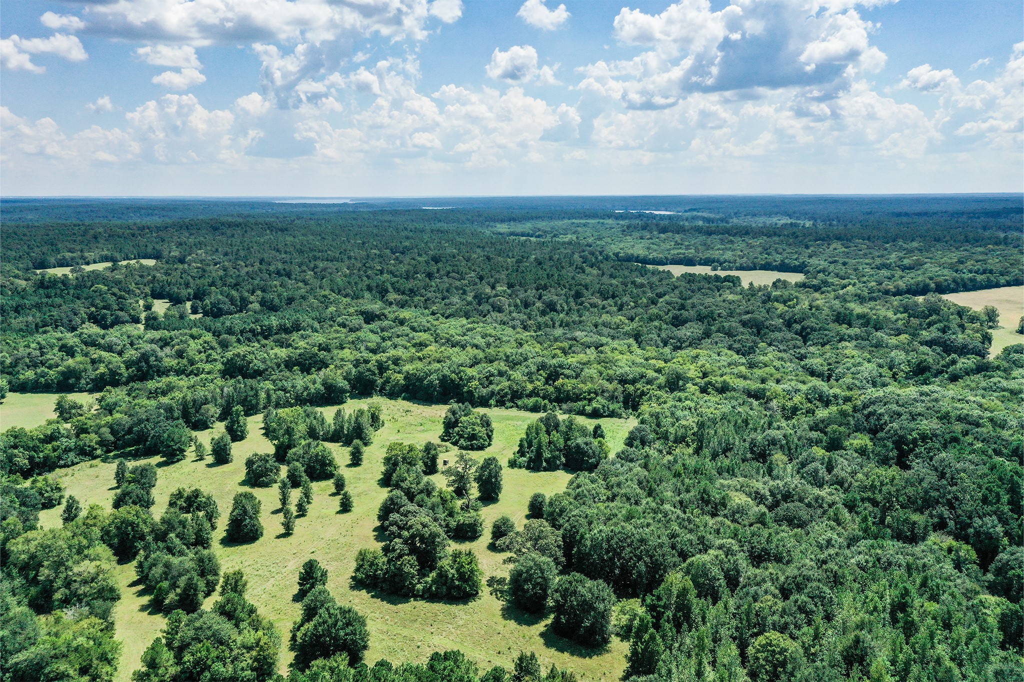 198 Ac Fm 1374 Property Photo 34