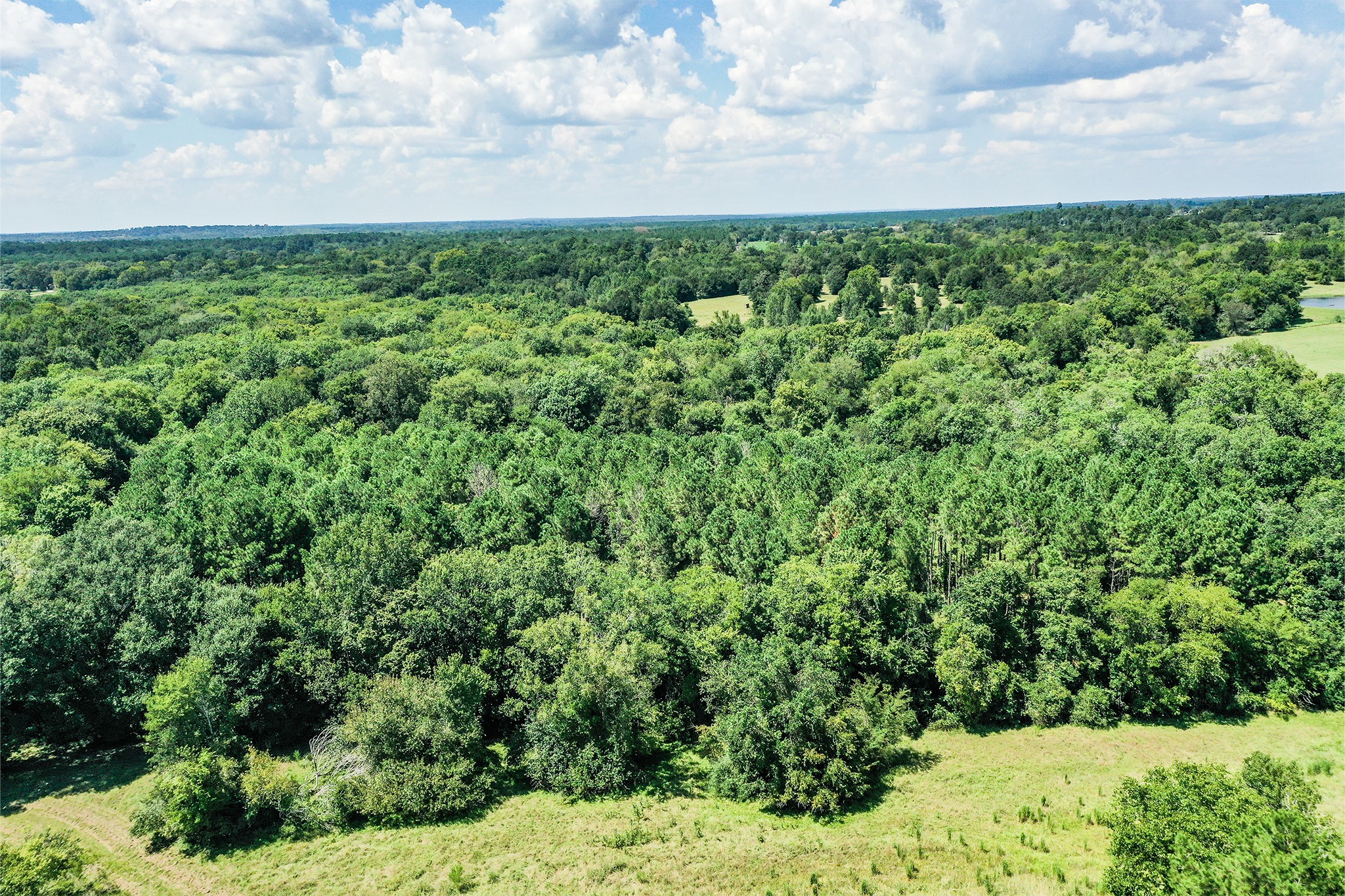 198 Ac Fm 1374 Property Photo 38