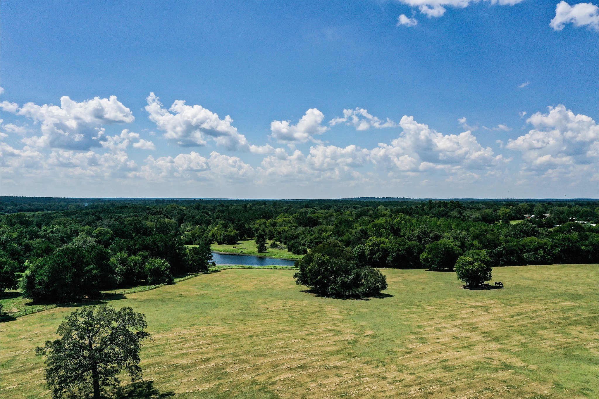 198 Ac Fm 1374 Property Photo 41