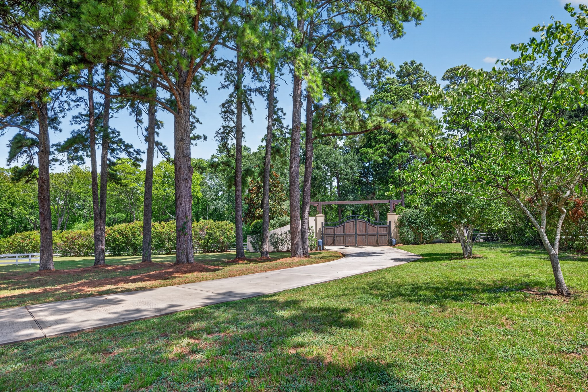 24005 Old Dobbin Plantersville Road Property Photo 10