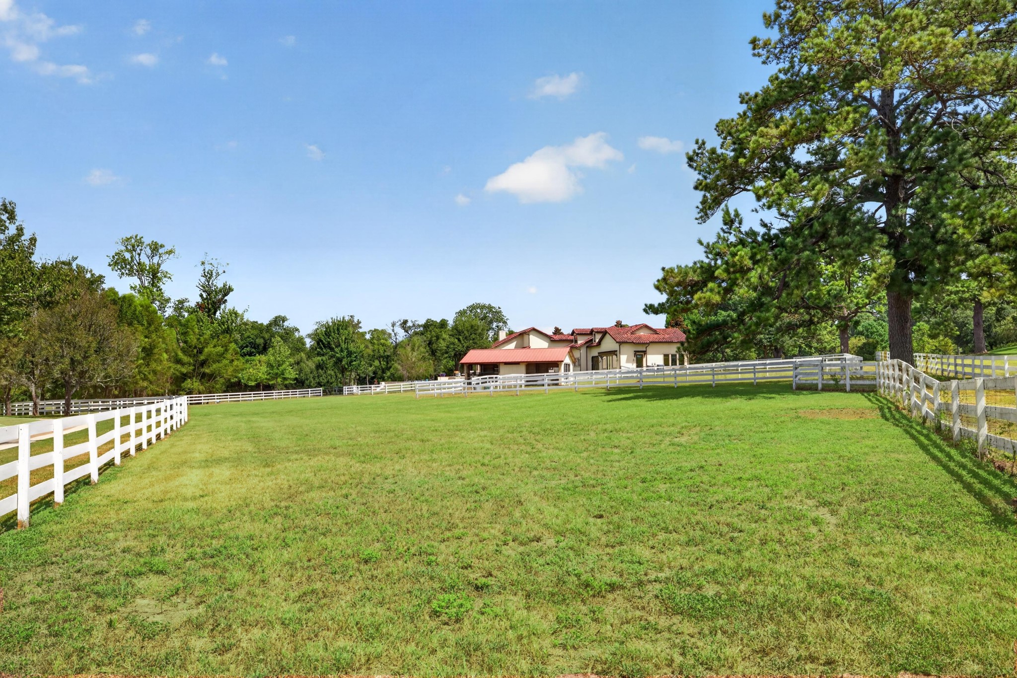 24005 Old Dobbin Plantersville Road Property Photo 43
