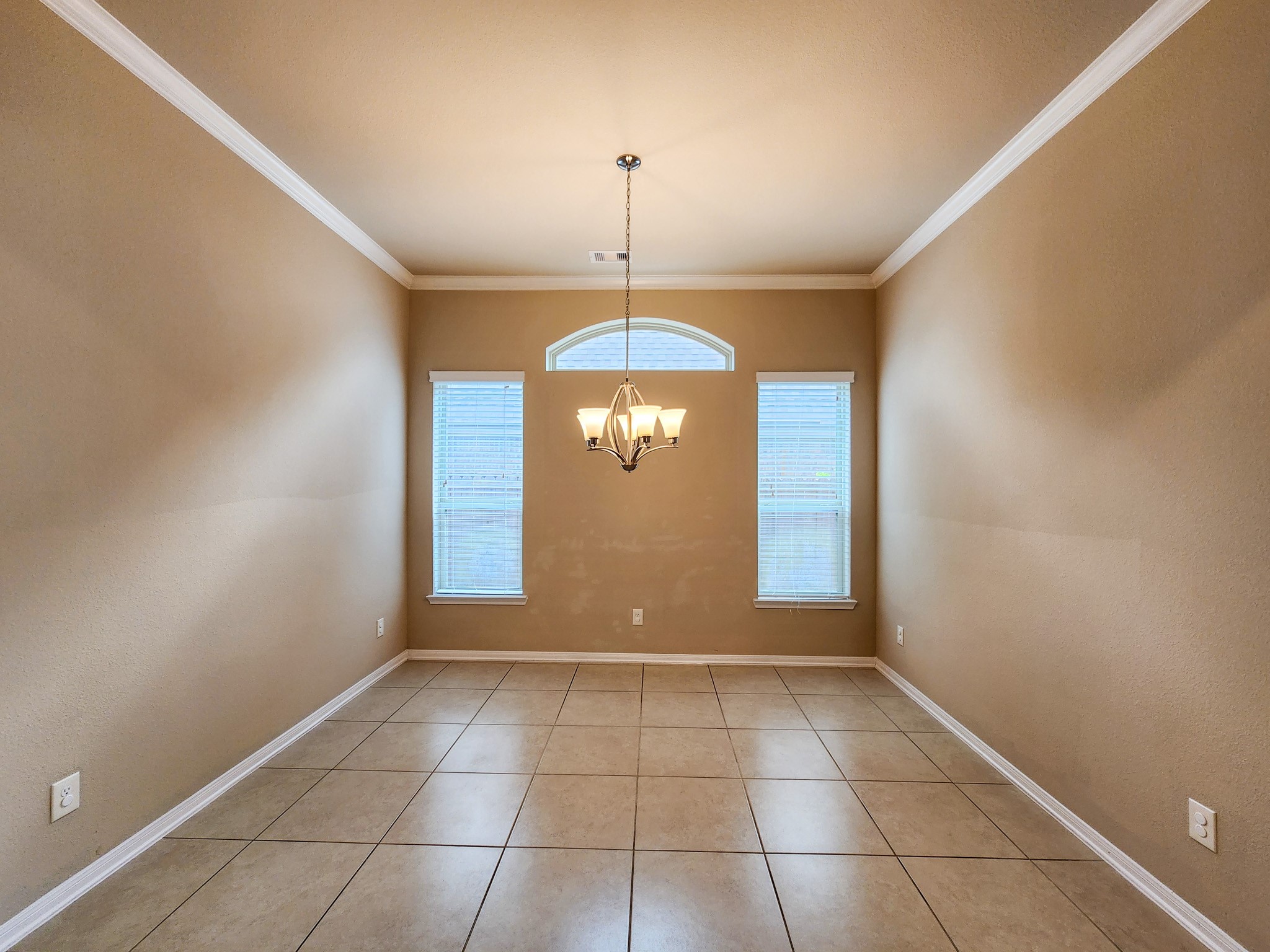 911 Daffodil View Court Property Photo 18