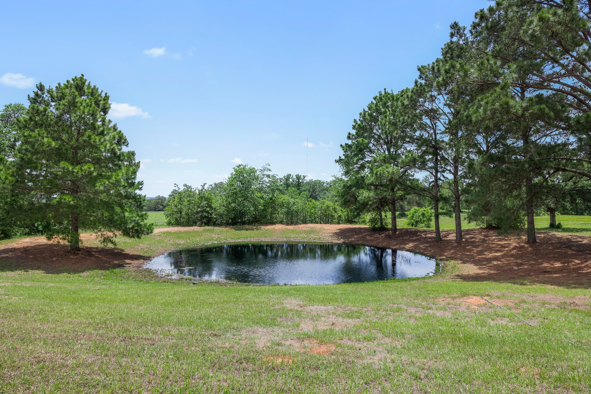 2513 S Fm 1291 Property Photo 2