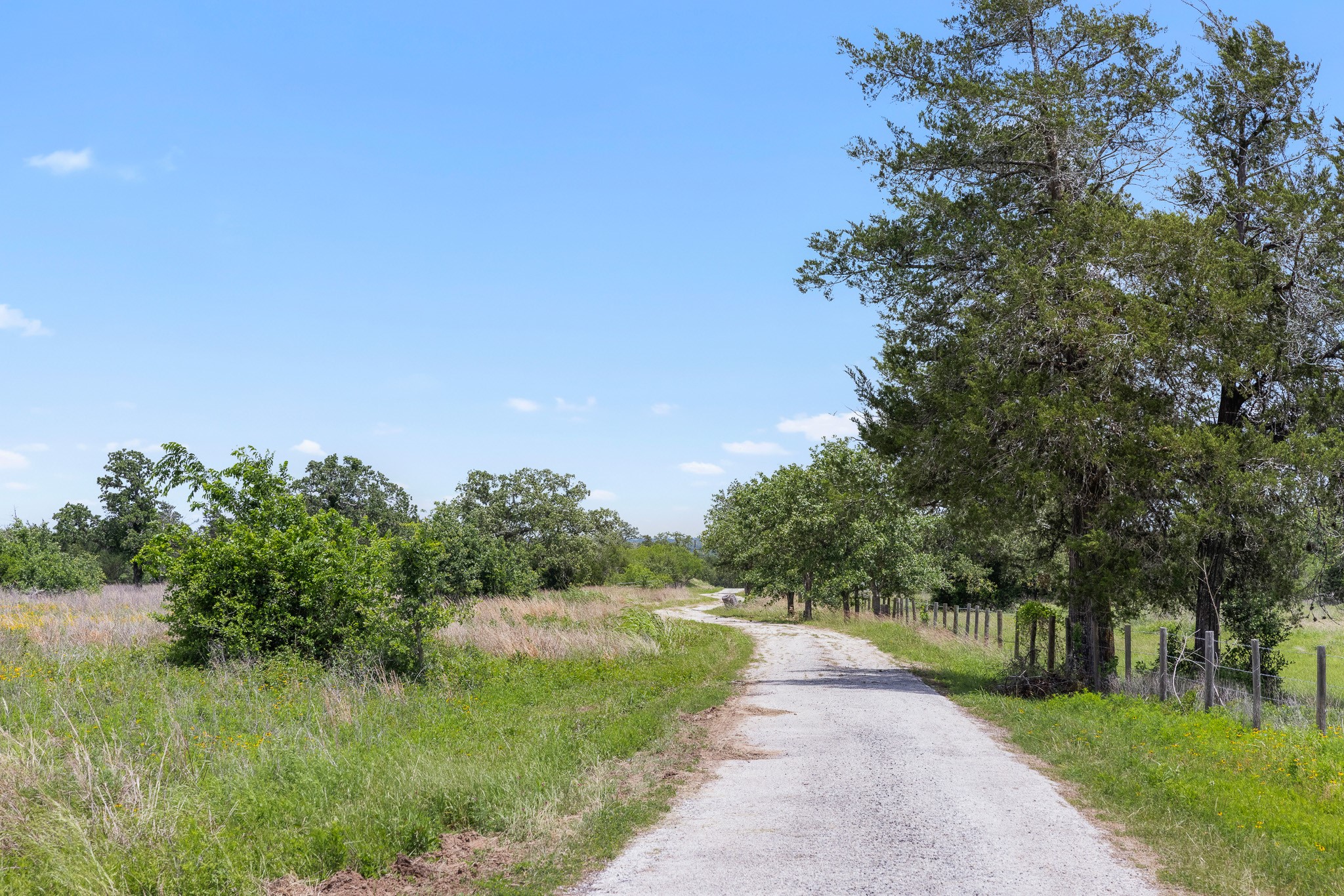2513 S Fm 1291 Property Photo 21