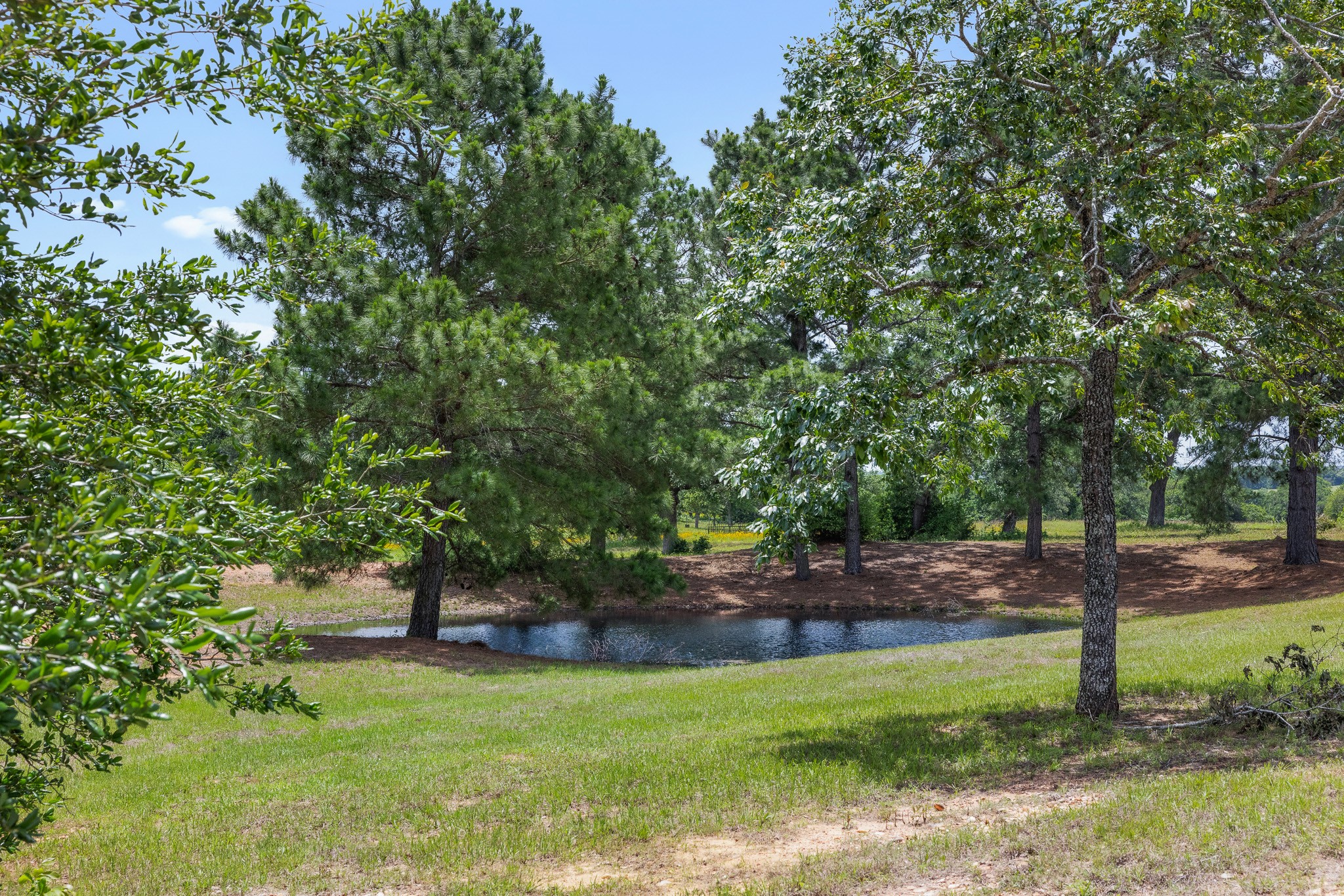 2513 S Fm 1291 Property Photo 23