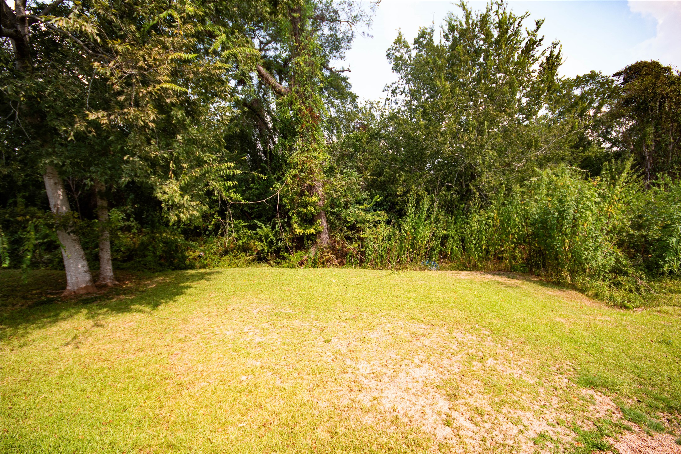 1622 W Milam Street Property Photo 17