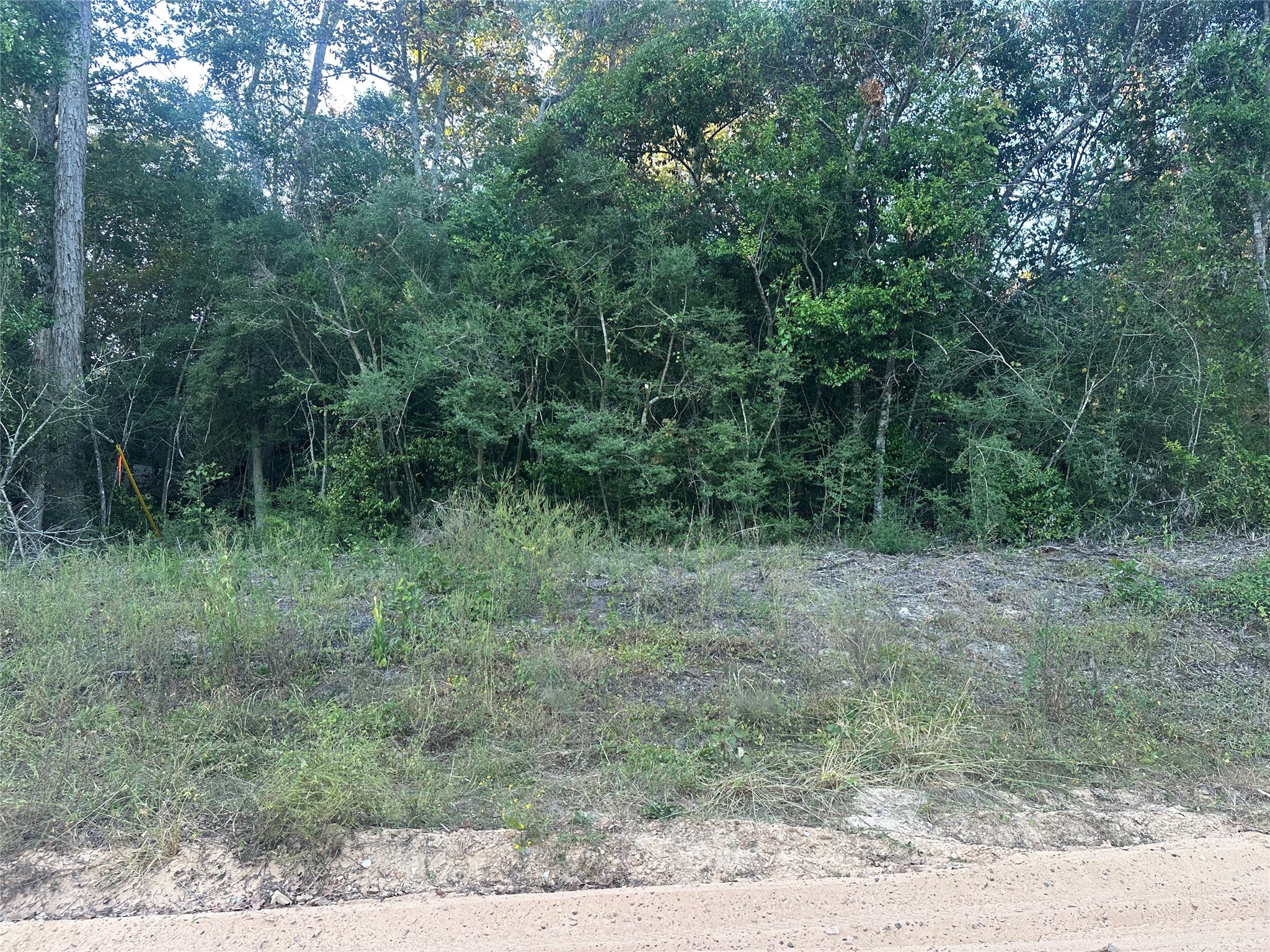 676 Patricia Drive Property Photo 3